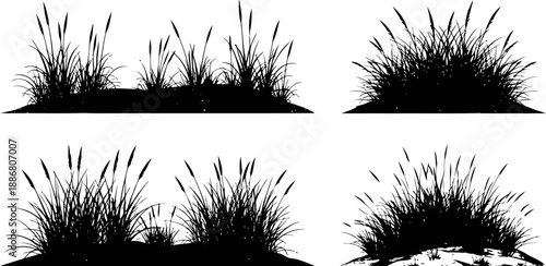 Silhouettes of wild grass clumps on soil, nature elements in black outline vector design