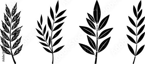 four black botanical leaves silhouettes with textured vintage on white background