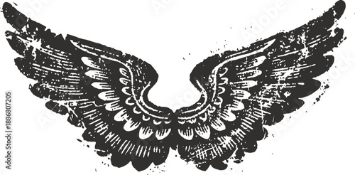 vintage black wings silhouette with detailed feathers on white background
