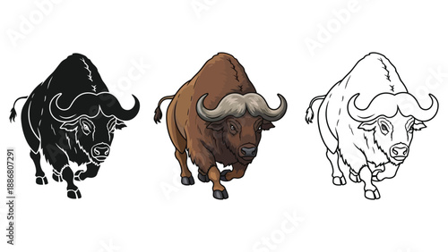 Set of three Cape buffalo illustrations in solid black silhouette, full color, and outline styles