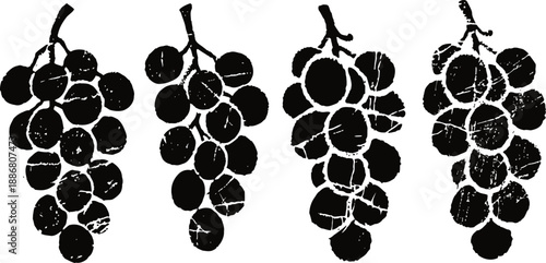 black silhouette of four grape bunches with detailed round grapes on white background