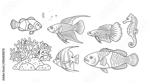 Undersea Life: Line art drawing of marine fish and coral, representing the biodiversity of ocean