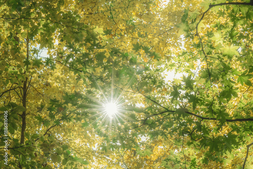 日本の秋の風景