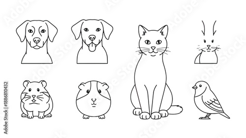 Simple Animal Collection: A simple yet elegant illustration showcasing a collection of beloved domestic animals in a clean, minimalist style. 