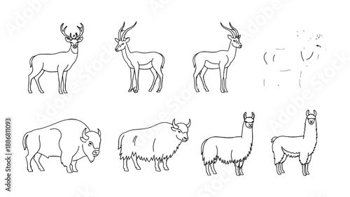Line drawings of animals: A collection of various animals rendered in elegant, clean lines, suitable for a range of artistic or illustrative applications.