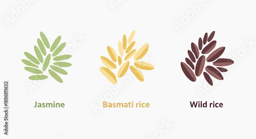 Assorted rice and jasmine illustrations arranged in a visually appealing display from a direct viewpoint
