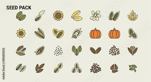 Collection of various seed pack illustrations featuring flowers, pumpkins, and leaves from an overhead viewpoint.
