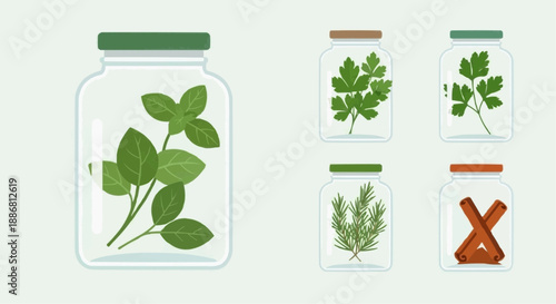 Collection of various herbs and plants in glass jars and containers from a top-down viewpoint