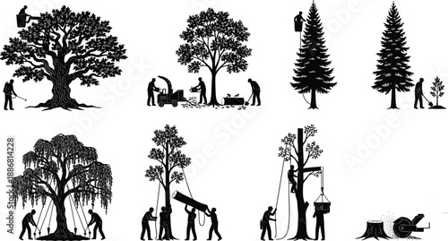 Black vector silhouettes of arborists performing tree care services, including pruning, wood chipping, stump grinding, and planting, isolated on white,