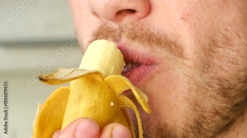 Close up bearded man mouth bites, eats small, ripe yellow banana, enjoying healthy, natural fruit snack. His unshaven face and focused expression show simple pleasure. Bearded man eating small banana