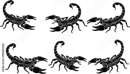 Scorpion silhouettes set showing different poses and angles, black venomous arachnid insect figures isolated on white background for tattoo, wildlife and danger concepts