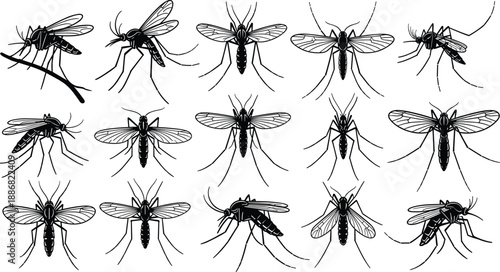 Fashion technical flat sketch of unisex jogger sweatpants with elastic waistband, drawstring, side pockets, and back patch pocket, clothing vector illustration for design