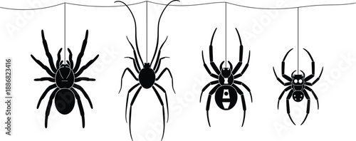 Hanging spider silhouette collection featuring detailed arachnids on webs, spooky creepy insect designs isolated on white background for Halloween horror and dark nature projects