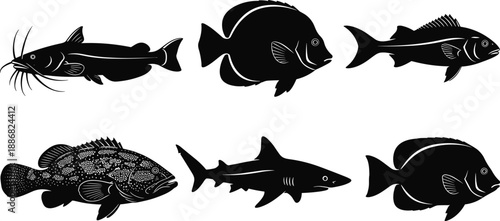 Marine fish silhouettes set including shark, catfish and tropical species, underwater wildlife collection, black aquatic animal vector illustration isolated on white background