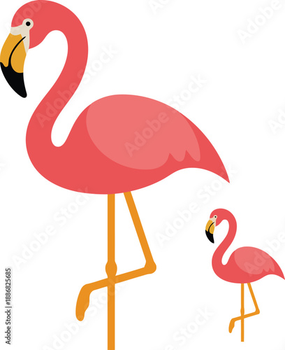 Two vibrant pink flamingos standing together in playful stance