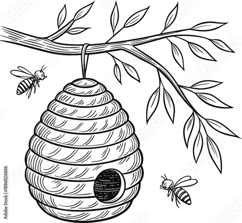A detailed, black and white line drawing of a beehive hanging from a branch. The beehive, composed of a honeycomb pattern, is suspended from a sturdy, horizontal tree branch. Several bees are depicted