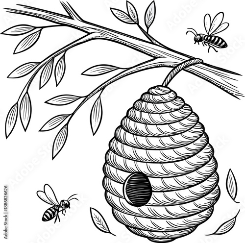 A detailed, black and white line drawing of a beehive hanging from a branch. The beehive, composed of a honeycomb pattern, is suspended from a sturdy, horizontal tree branch. Several bees are depicted