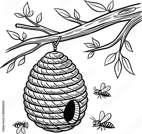 A detailed, black and white line drawing of a beehive hanging from a branch. The beehive, composed of a honeycomb pattern, is suspended from a sturdy, horizontal tree branch. Several bees are depicted