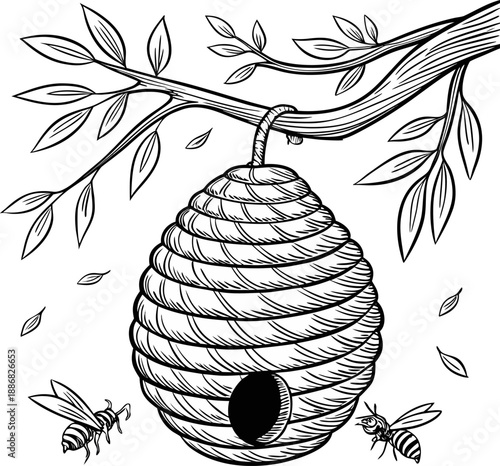 A detailed, black and white line drawing of a beehive hanging from a branch. The beehive, composed of a honeycomb pattern, is suspended from a sturdy, horizontal tree branch. Several bees are depicted