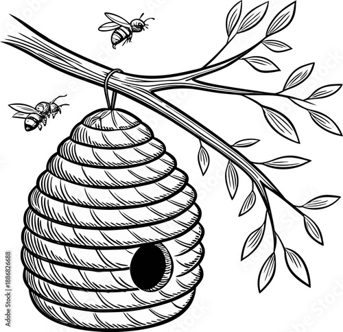 A detailed, black and white line drawing of a beehive hanging from a branch. The beehive, composed of a honeycomb pattern, is suspended from a sturdy, horizontal tree branch. Several bees are depicted