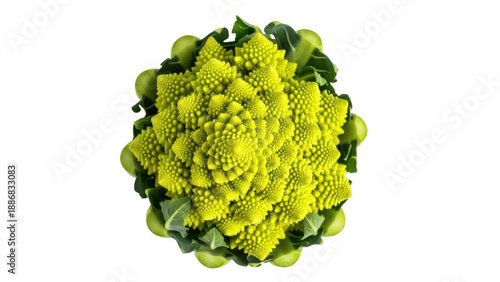 Isolated Romanesco broccoli, fractal vegetable, brassica oleracea, green, vegetable, food