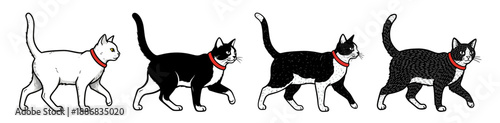 Set of black and white cats walking