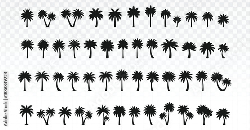 Set of black palm tree silhouettes in multiple shapes and sizes, clean flat vector style isolated on white background, ideal for tropical designs, summer graphics, travel themes, logos, and decorative