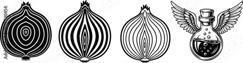 Onion cross-sections and winged potion bottle vector illustration, black and white design with fantasy and food symbolism