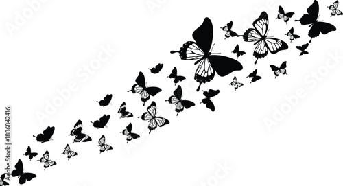 Black butterfly silhouettes flying composition, nature insect shapes collection, elegant motion design, flat vector illustration, isolated decorative elements, for branding background artwork