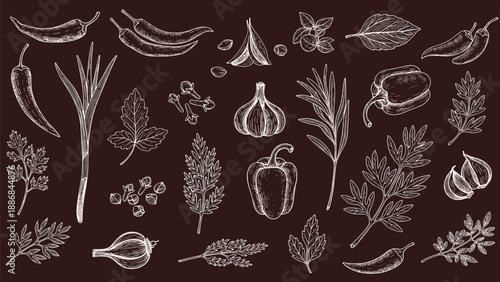 Extensive collection of hand drawn chalkboard style herb and spice sketches including peppers, garlic, ginger, and various aromatic leaves.