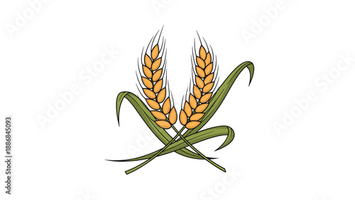 Two crossed stalks of golden wheat with green leaves are depicted in a detailed illustration on a plain white background.