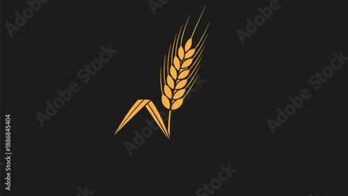 Single ear of golden wheat with long awns and a few leaves is illustrated against a dark grey or black background.