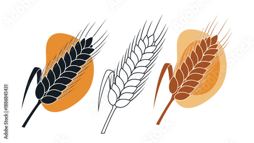 Set of three wheat ears in different artistic styles including silhouette, line art, and colored versions are displayed.