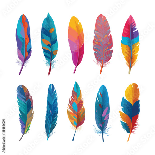 set of colorful feathers