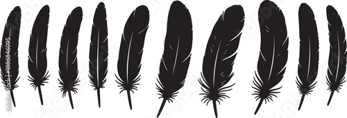 Nine black feather arranged in a row with detailed textures and sharp edges also transparent background