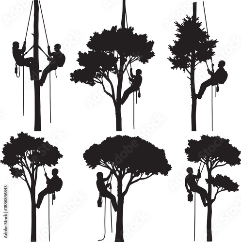 Silhouettes of People Climbing Trees with Ropes and Gear also transparent background