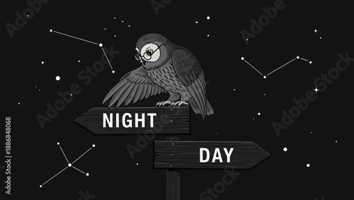 Wise Owl Perched On A Directional Signpost Between Night And Day Choice