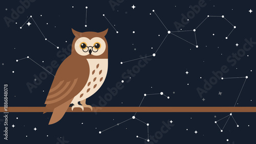 Wise Owl Perched on Branch Underneath Starry Night With Constellations