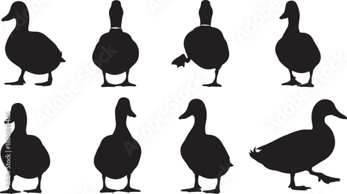 Six black silhouette ducks in various poses on a white background also transparent background