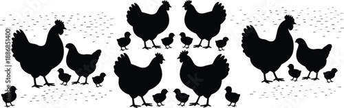 Hen and chicks silhouette, black vector illustration, farm animal scene, rural poultry design, nature and motherhood concept, stylized ground pattern, livestock art