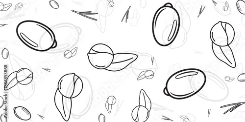 Outline sketches of nuts and seeds, minimalist and modern drawing style for food concepts