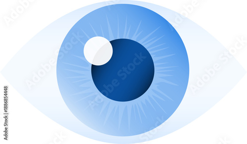 Human eye, realistic human eye isolated on white background, eye icon. Vector, cartoon illustration, poster, postcard. Vector