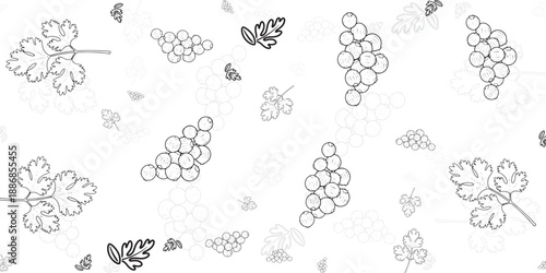 Seamless pattern of grapes and leaves, organic background for design