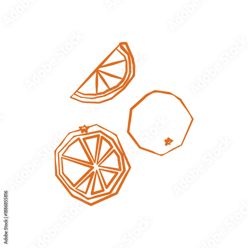 Fresh orange illustration. Simple line style icon of organic fruits for farmers market advertising. Vector symbol of harvested tropical food in minimal handdrawn outline style.