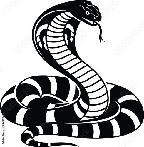 Black and white vector illustration of a coiled king cobra snake with hood expanded, isolated on white background for tattoo or mascot logo design.