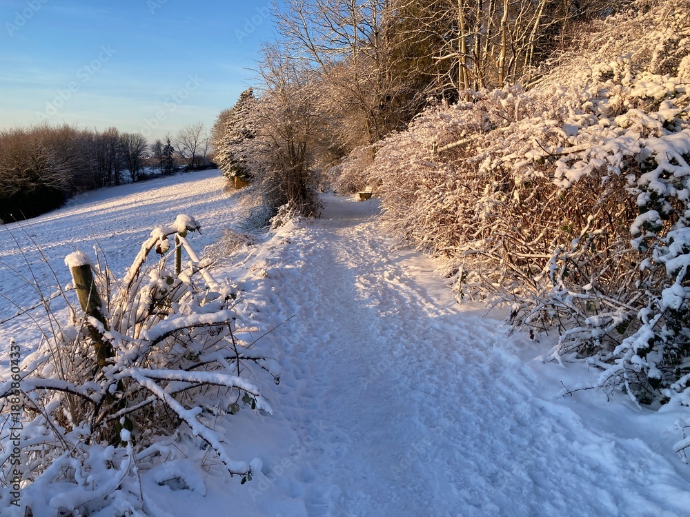 Φωτογραφία Naturlandschaft im Schnee mit Raureif im Winter mit Feldweg zwischen Wald und Wi
