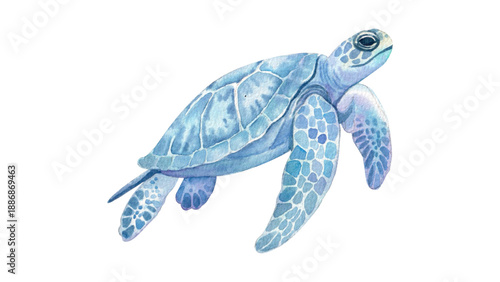 Detailed Watercolor Sea Turtle Swimming in the Ocean