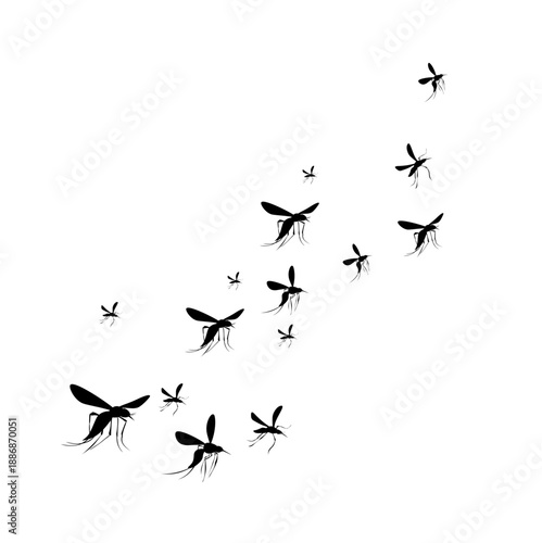 Flying Mosquito Illustration