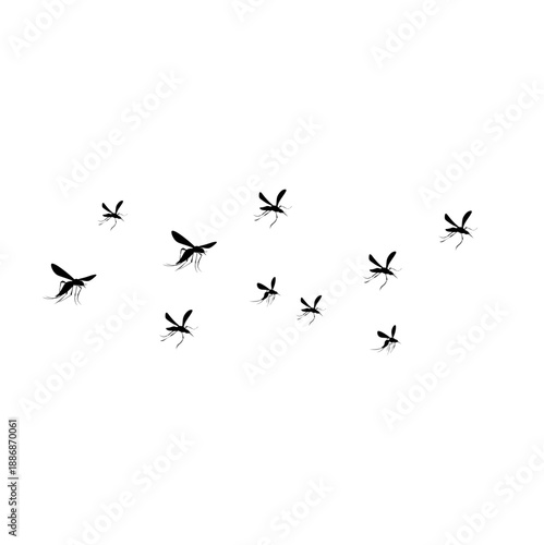 Flying Mosquito Illustration