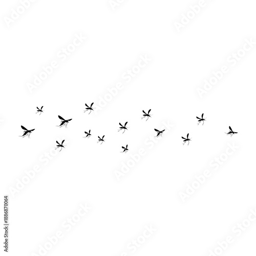 Flying Mosquito Illustration